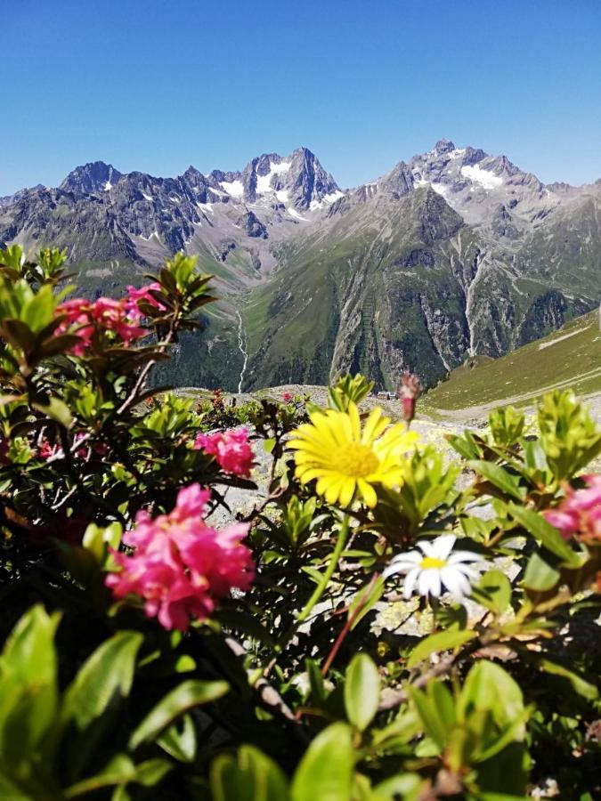 Haus Bergwind Apartman Sankt Leonhard im Pitztal Kültér fotó